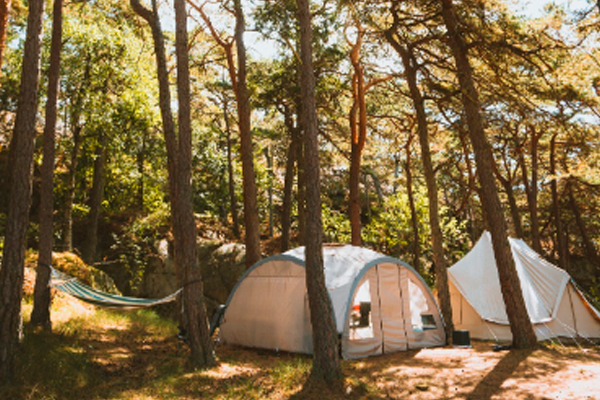 Camping Palazuelo
